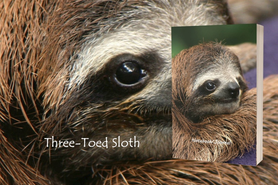 3 toed Sloth Notebook