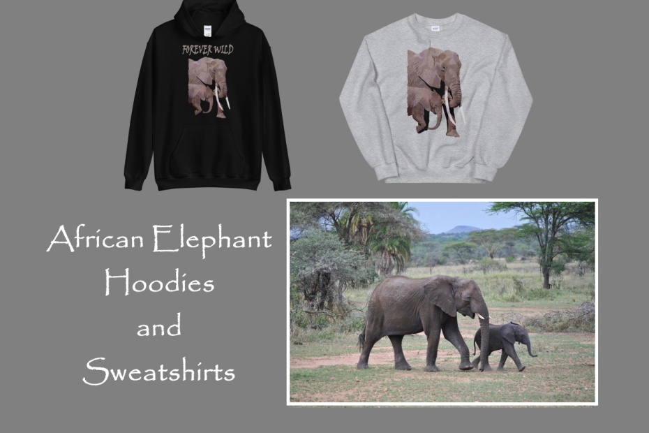 African Elephant Hoodies and Sweatshirts