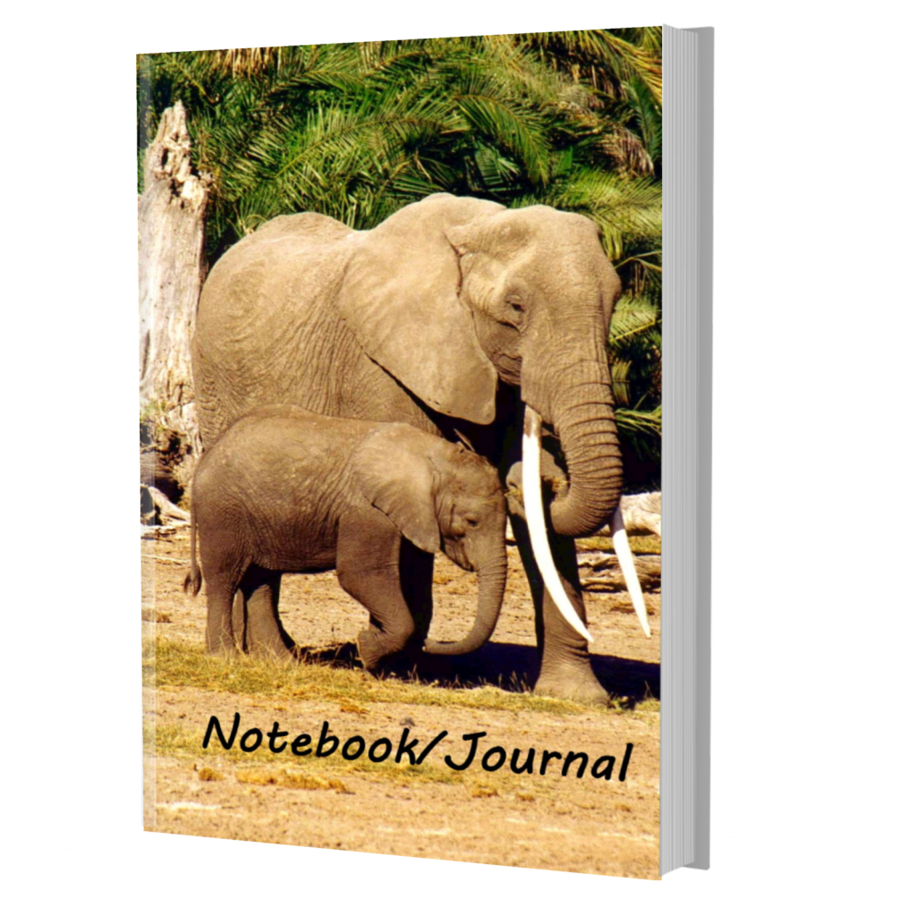 African Elephant Journal.