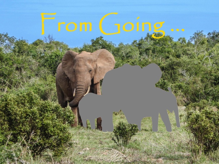 Help Save Wildlife - African Elephants - From Going