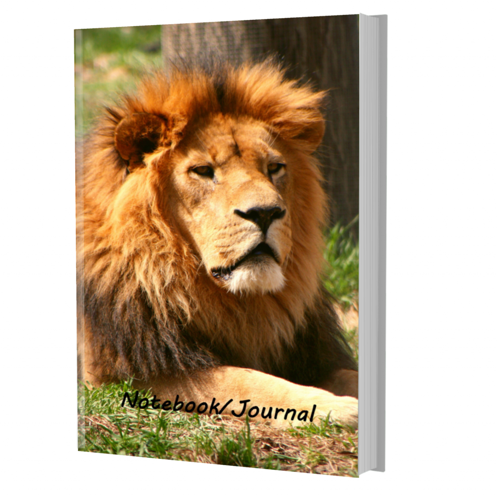 Lion Photo Artwork - Male Lion Journal