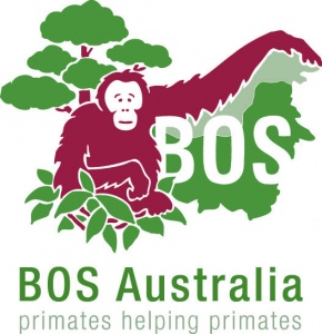 Borneo Orangutan Survival (BOS) Australia