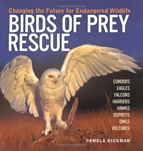 Birds of Prey Rescue Book