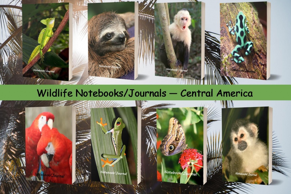 Central American Wildlife Photo Notebooks