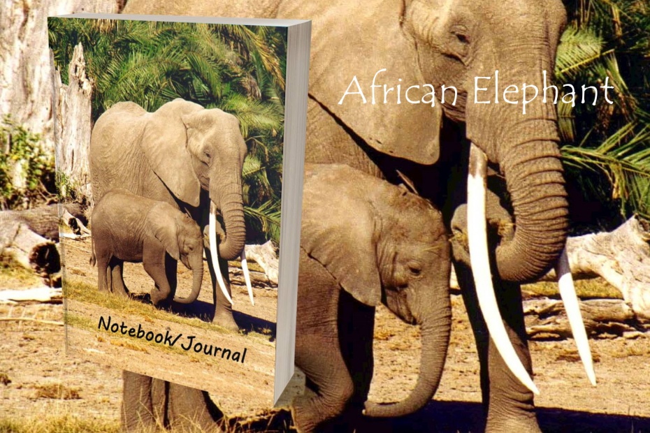 African Elephant Journal