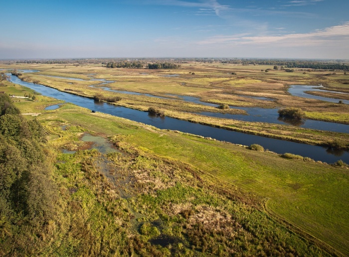 National Estuaries Week - Estuary