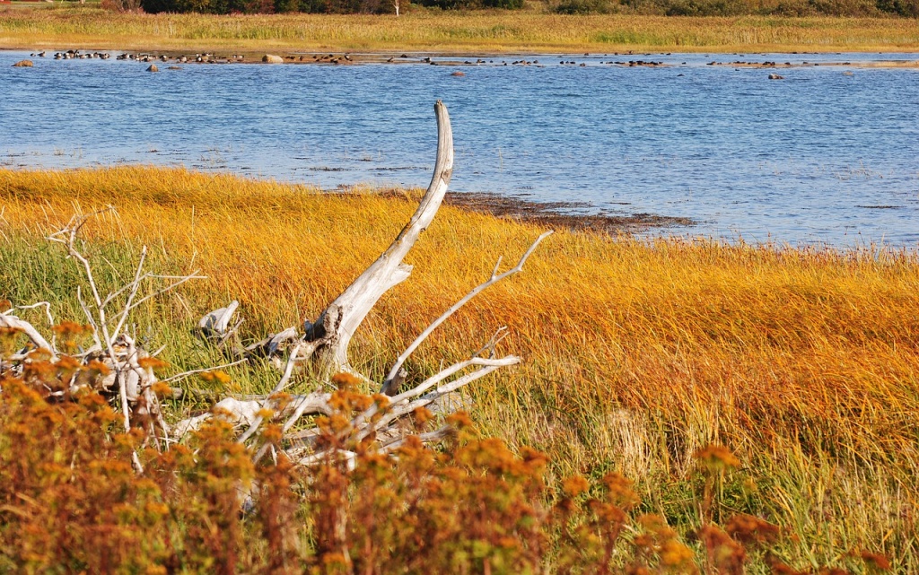 National Estuaries Day - Estuary