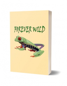 Wildlife Graphic Notebooks - Red-Eyed Tree Frog Journal