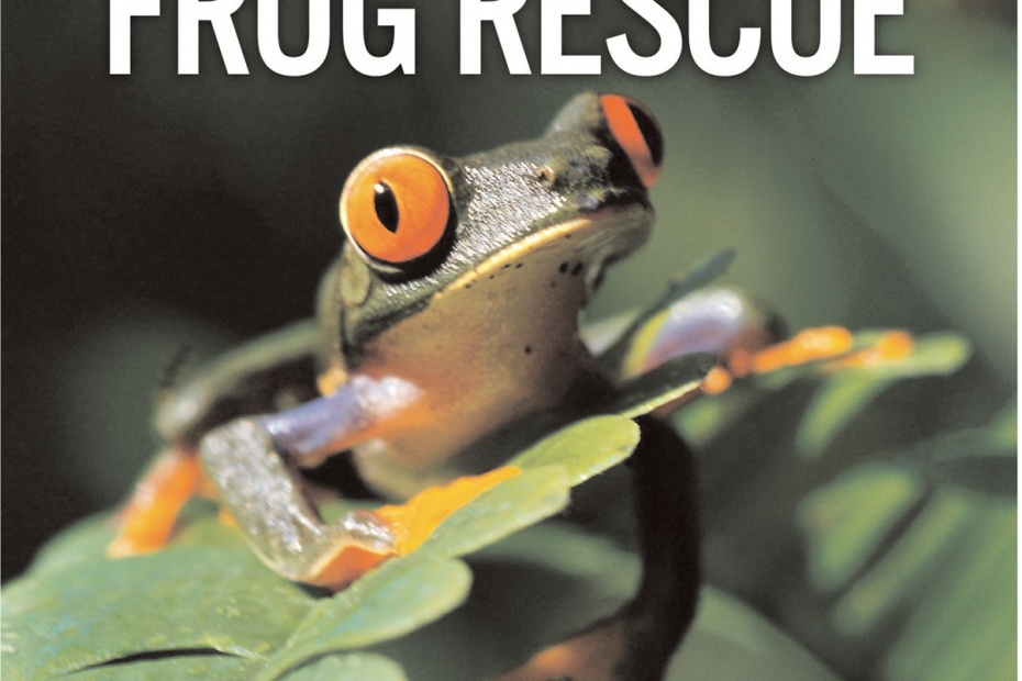 Frog Rescue