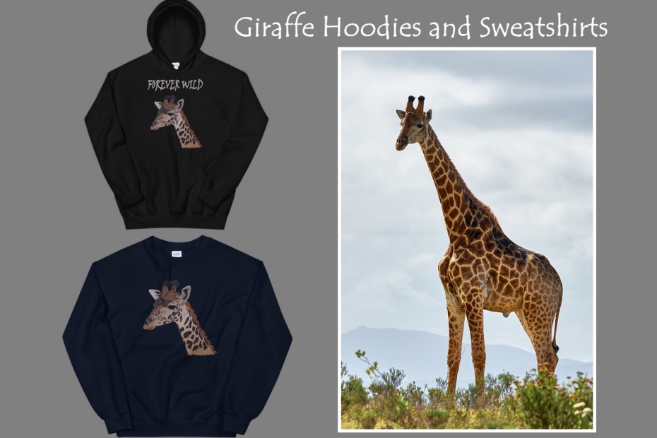 Giraffe Hoodies and Sweatshirts