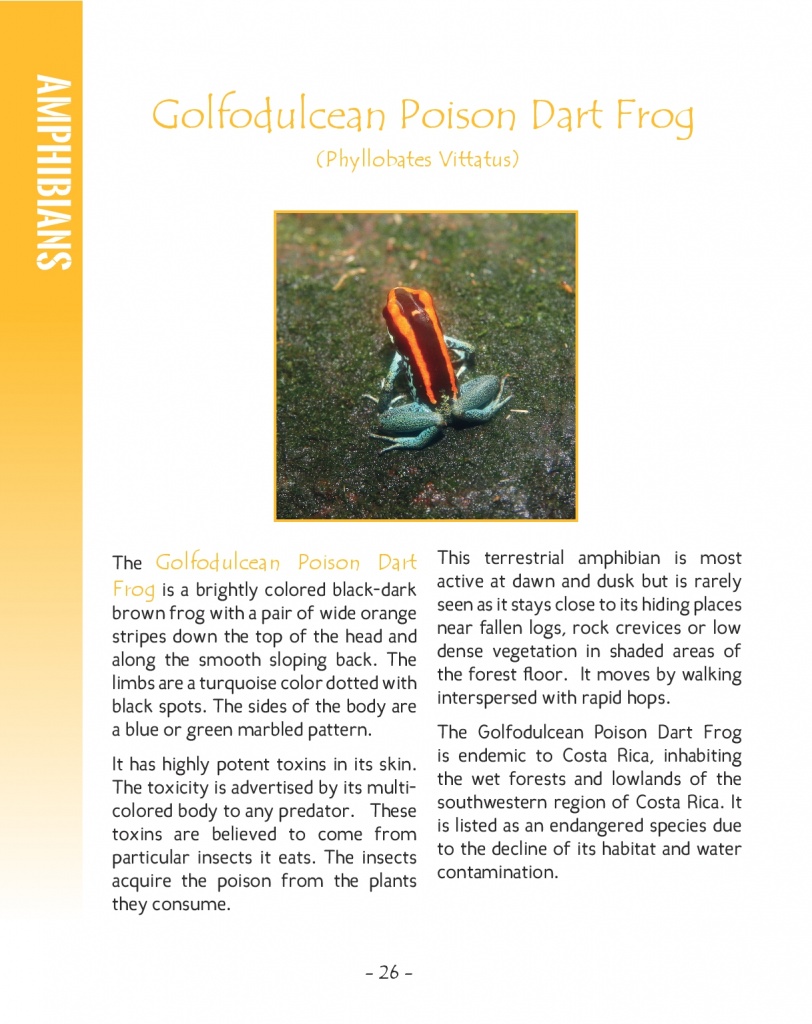 Golfodulcean Poison Dart Frog - Wildlife in Central America - Page 26