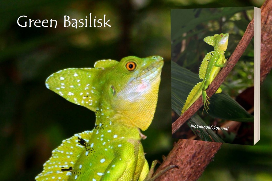 Green Basilisk Journal