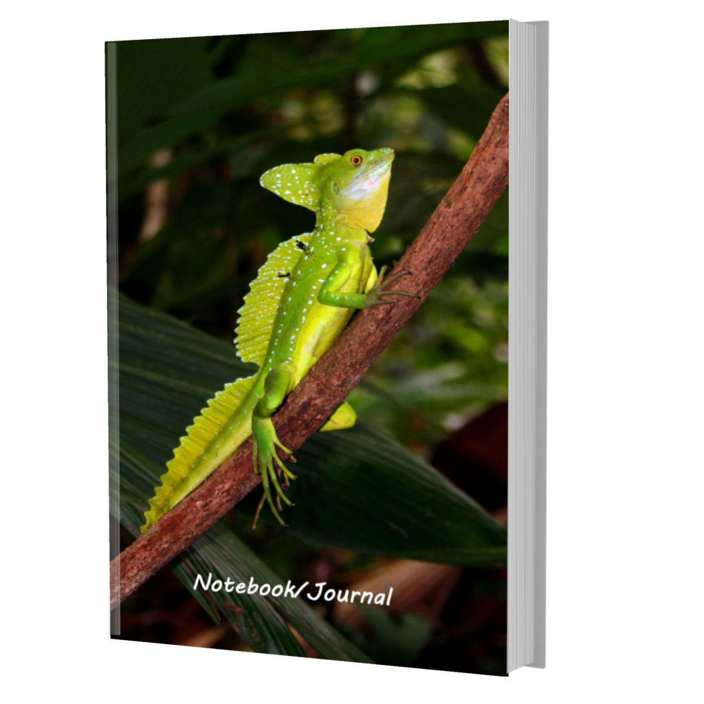 Wildlife Notebooks Central America - Green Basilisk Journal