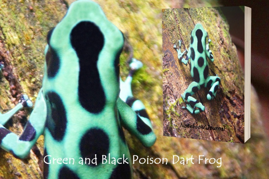 Green and Black Poison Dart Frog Journal