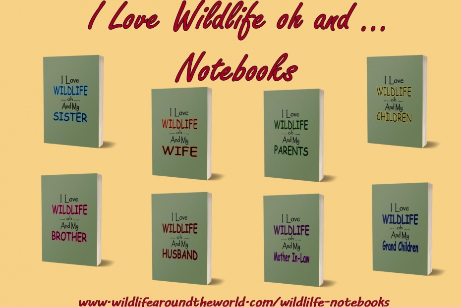 I Love Wildlife oh and ... Notebooks