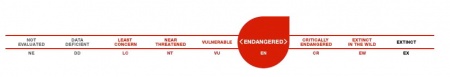 IUCN Redlist - Endangered Rating