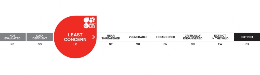 IUCN Redlist - Least Concern Rating