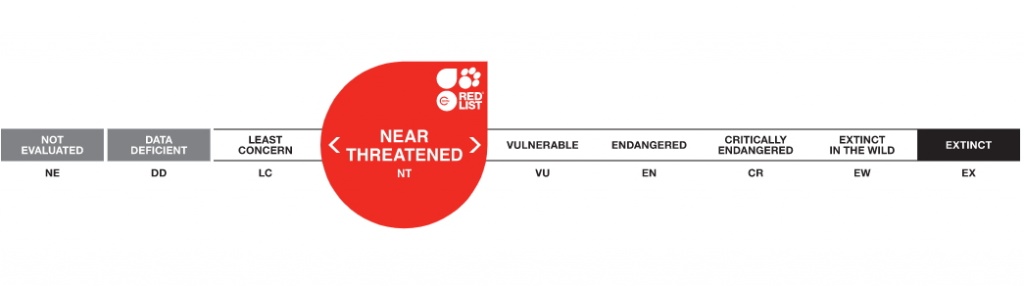 IUCN Redlist - Near Threatened Rating