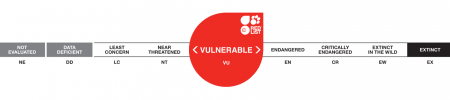 IUCN Redlist - Vulnerable Rating