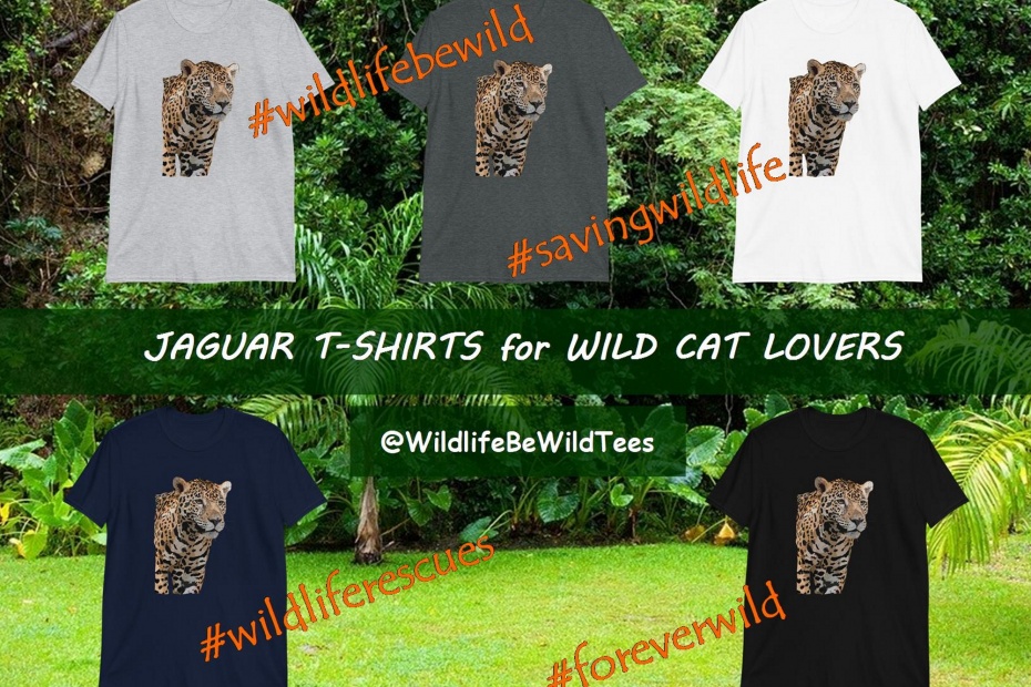 Jaguar Graphic T-Shirts