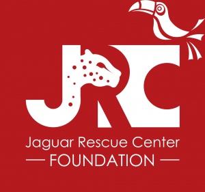 Jaguar Rescue Center