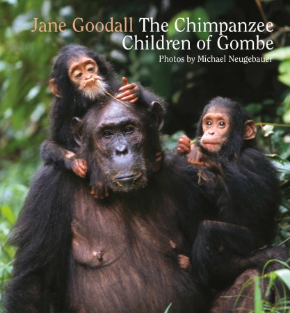 World Book Day - The Chimpanzee Children of Gombe