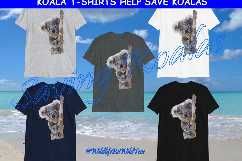 Koala T-Shirts