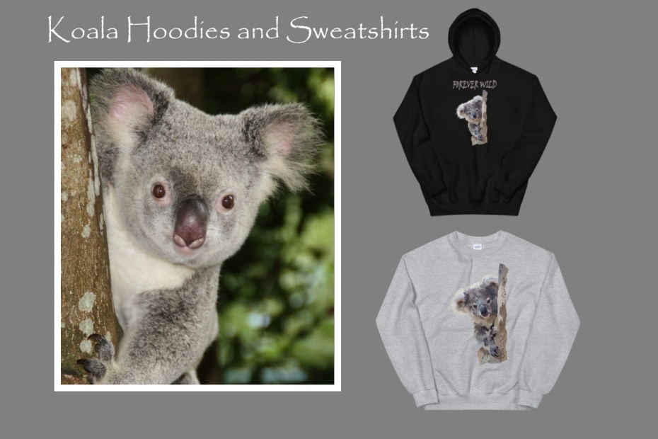 Koala Hoodies and Sweatshirts