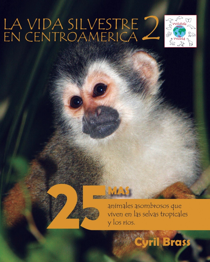 La vida silvestre en Centroamerica 2