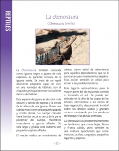 La vida silvestere en Centroamerica 2 - Page 32