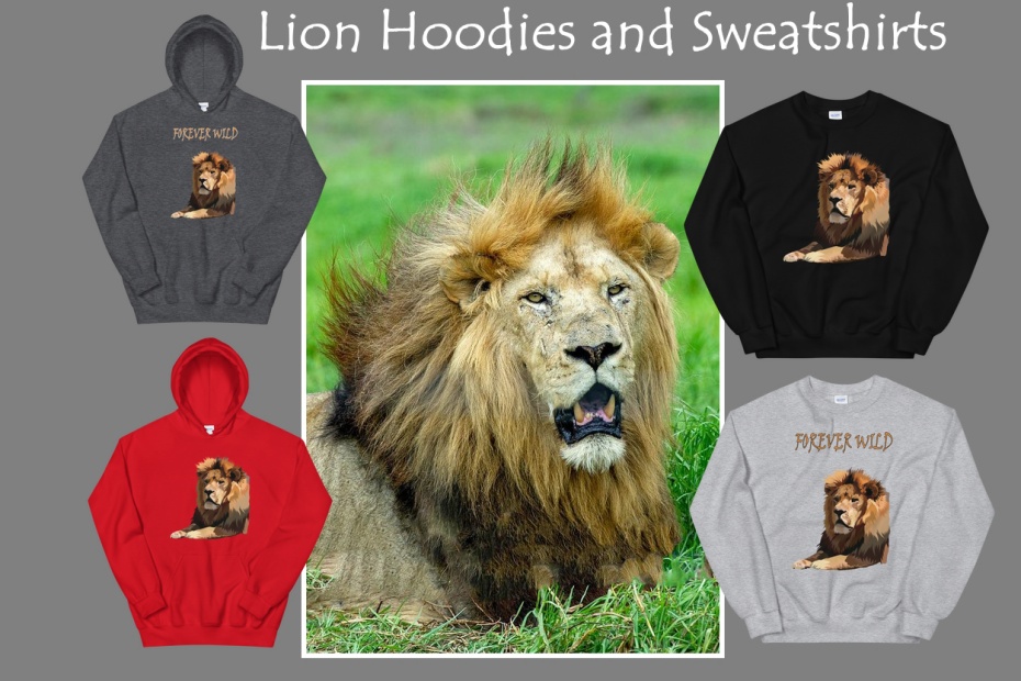 Lion Hoodies and Sweatshirts