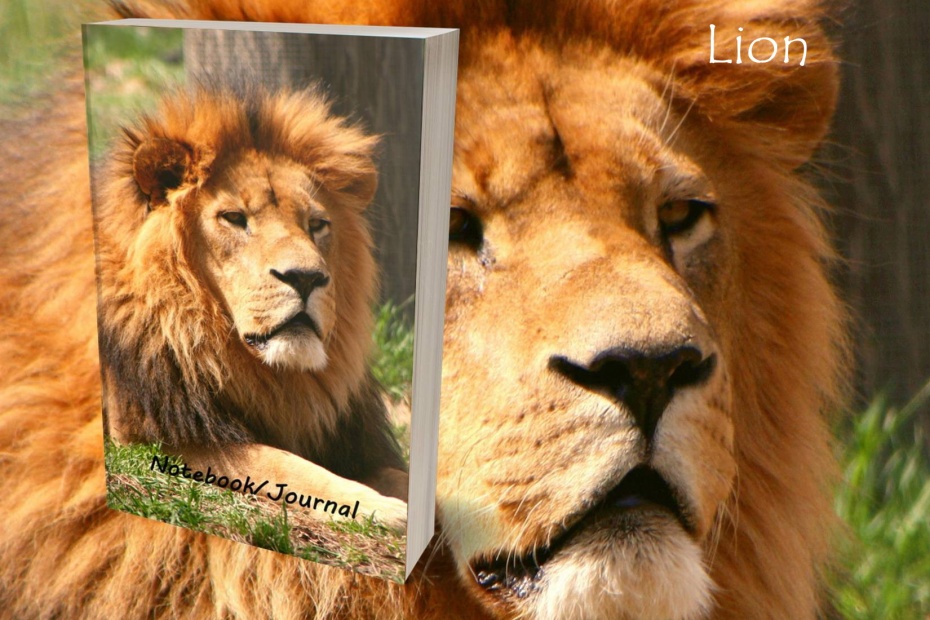 Lion Journal