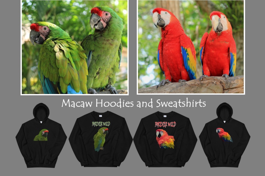 Macaw Hoodies and Sweatshirts