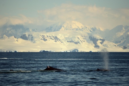 World Oceans Day - Ocean water