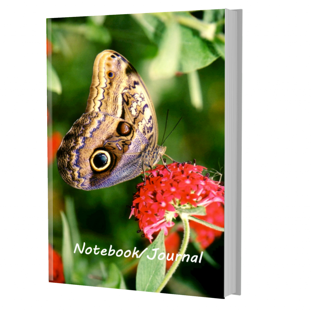 Owl Butterfly Notebook - Owl Butterfly Journal