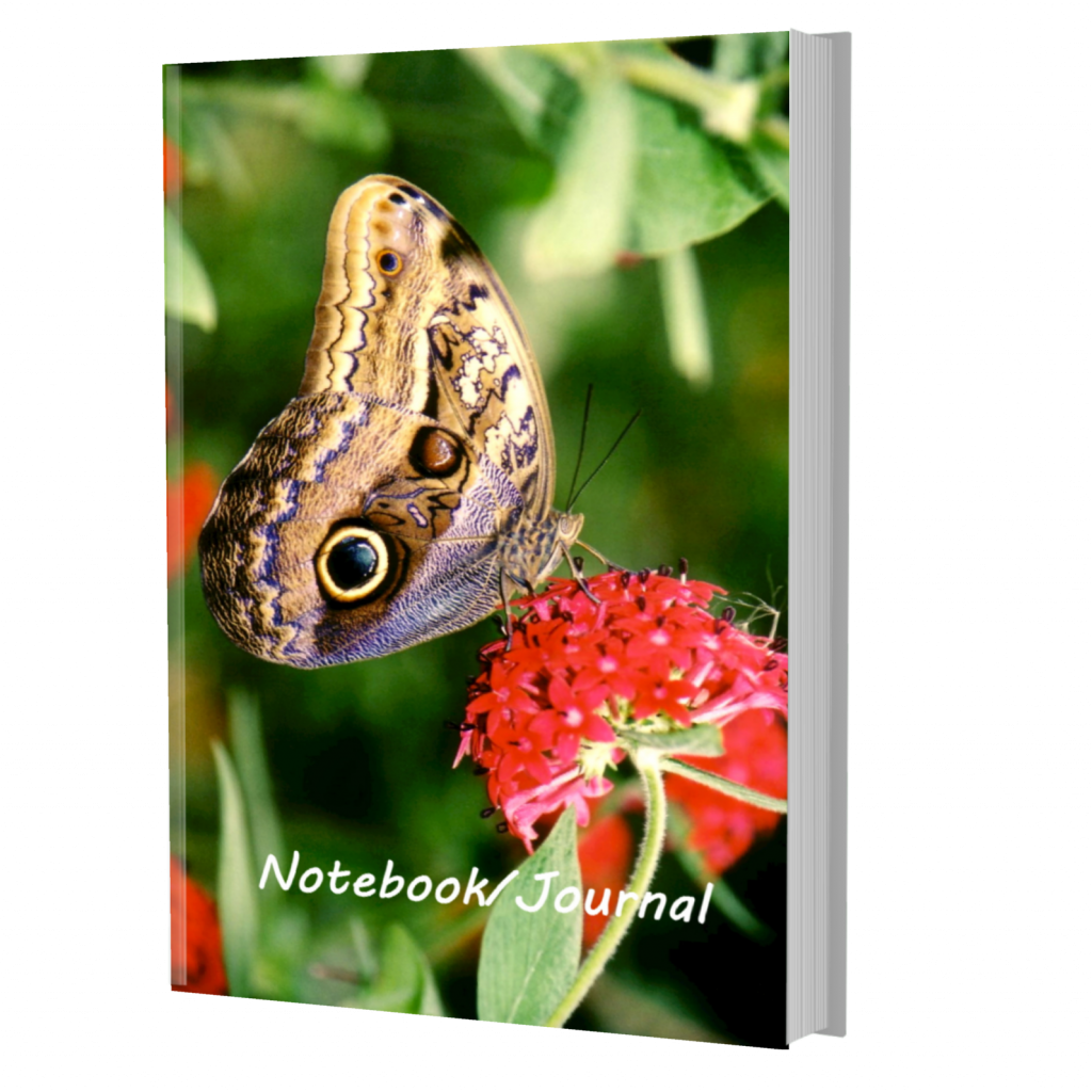 Wildlife Notebooks Central America - Owl Butterfly Journal