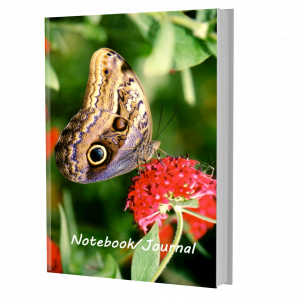 Owl Butterfly Journal