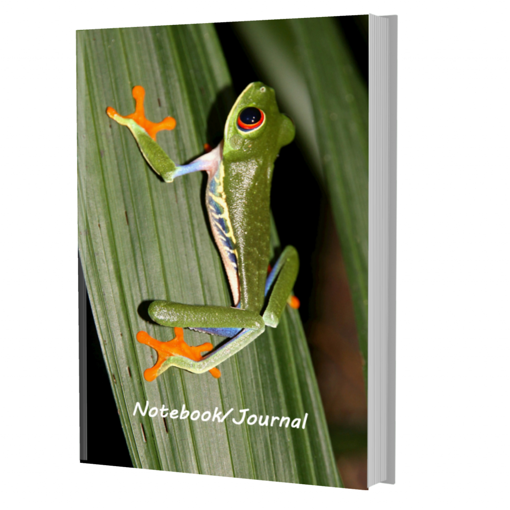 Red Eyed Tree Frog Notebook - Red Eyed Tree Frog Journal