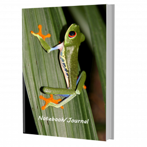 Red Eyed Tree Frog Journal