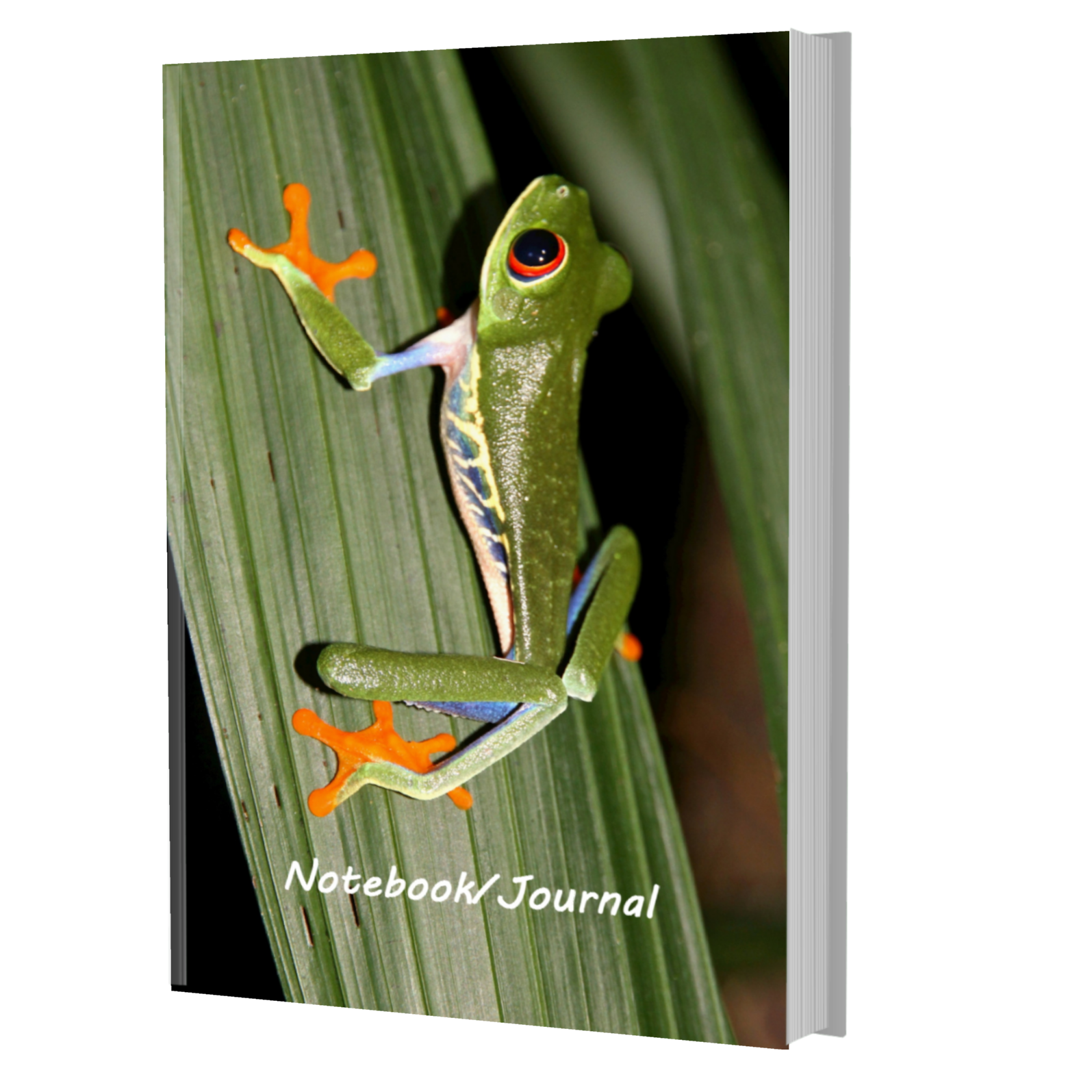 Red Eyed Tree Frog Notebooks - Red Eyed Tree Frog Journal