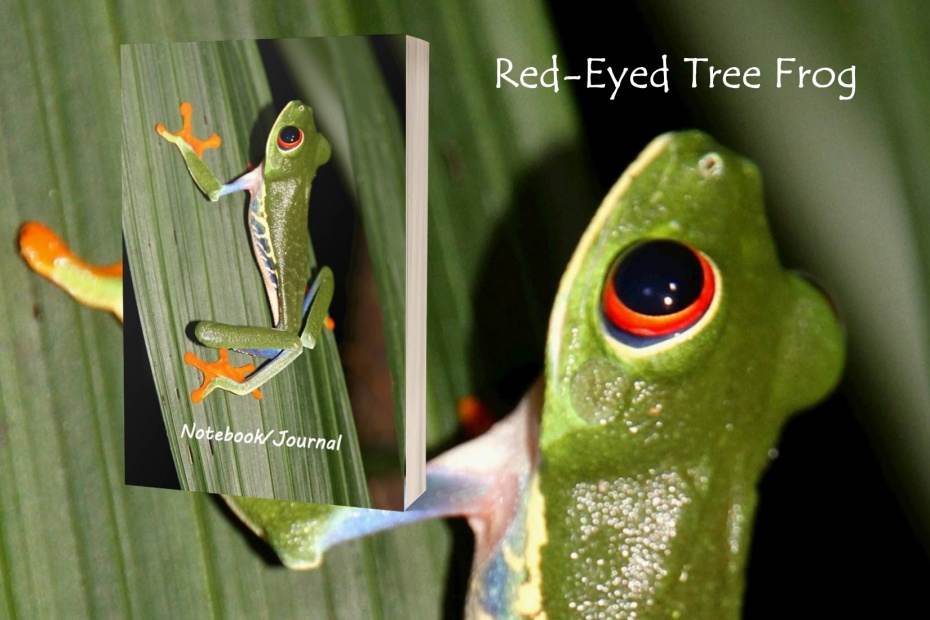 Red Eyed Tree Frog Journal
