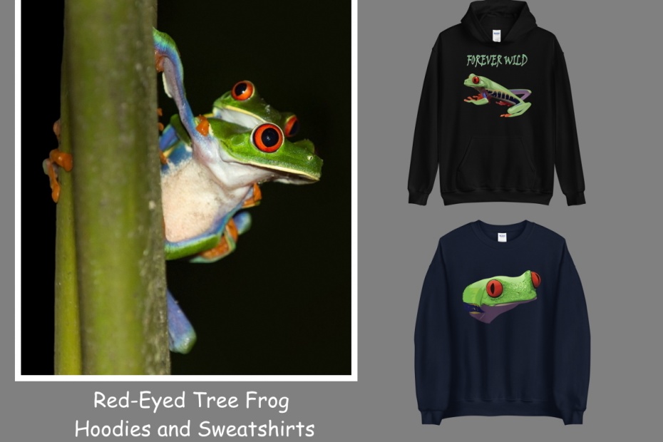 Red Eyed Tree Frog Hoodies and Sweatshirts