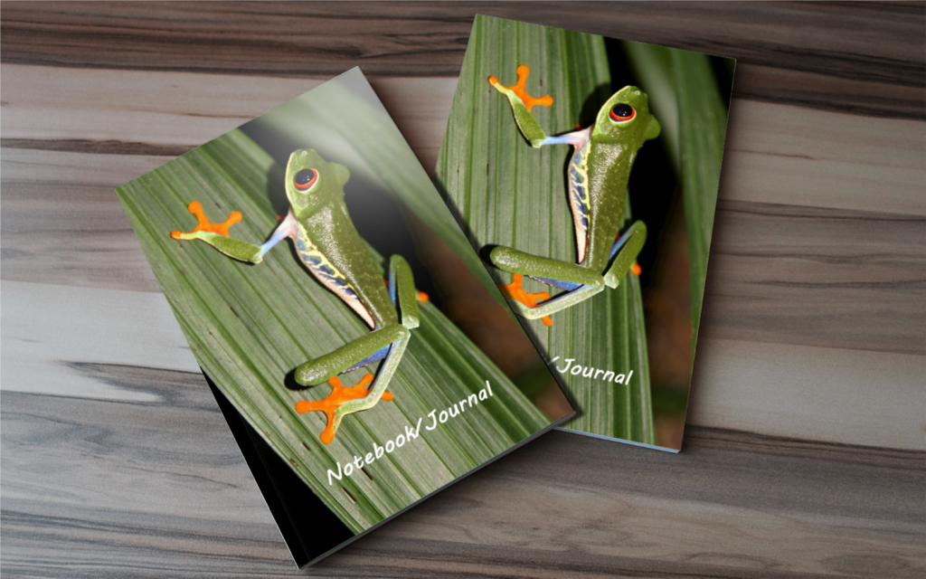 Red Eyed Tree Frog Notebook - Red Eyed Tree Frog Journal