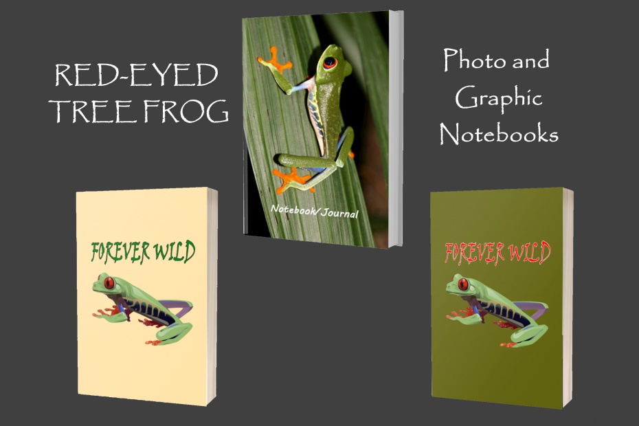 Red Eyed Tree Frog Notebooks