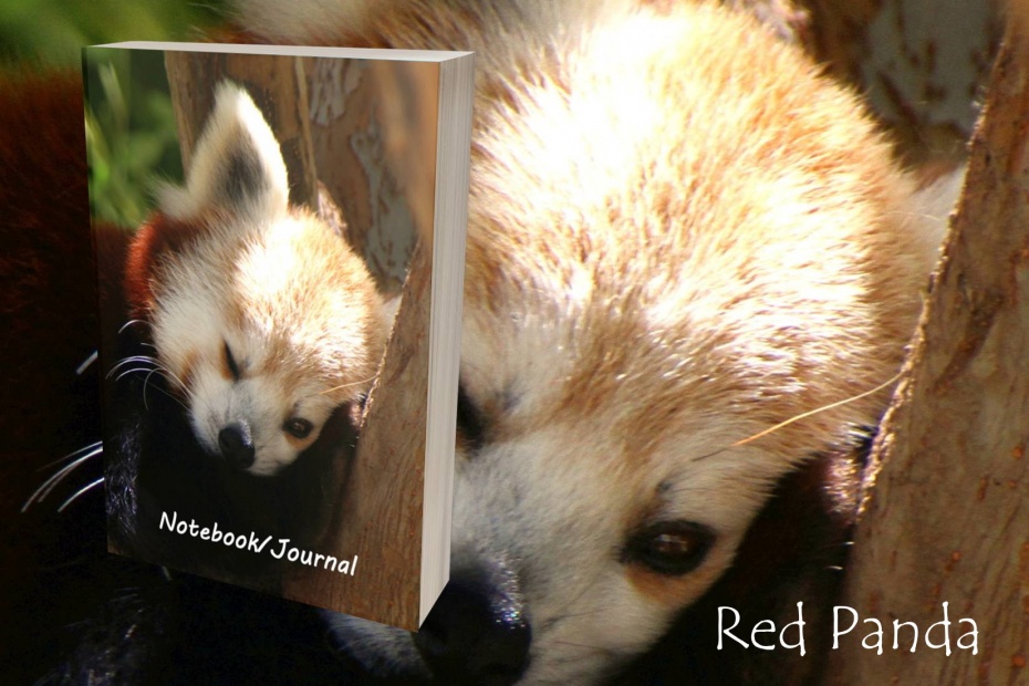 Red Panda Journal