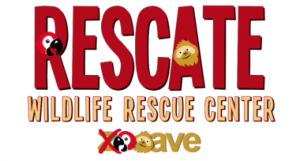 Rescate Wildlife Rescue Center