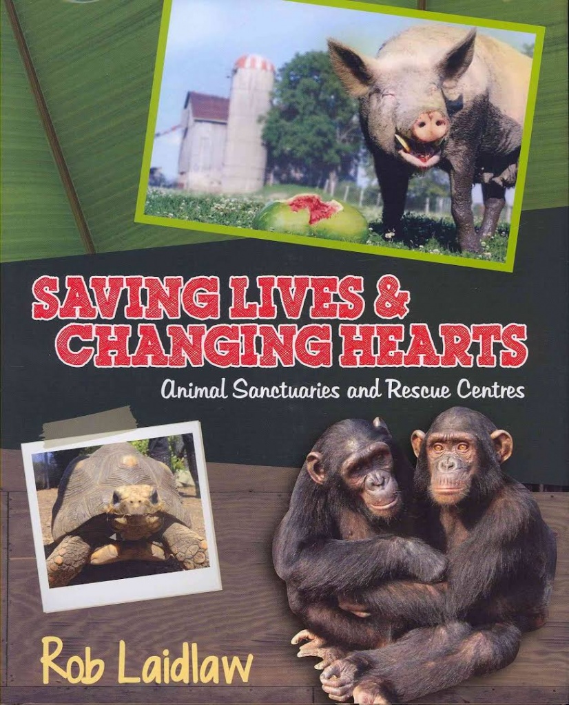 Saving Lives and Changing Hearts - Saving Lives & Changing Hearts