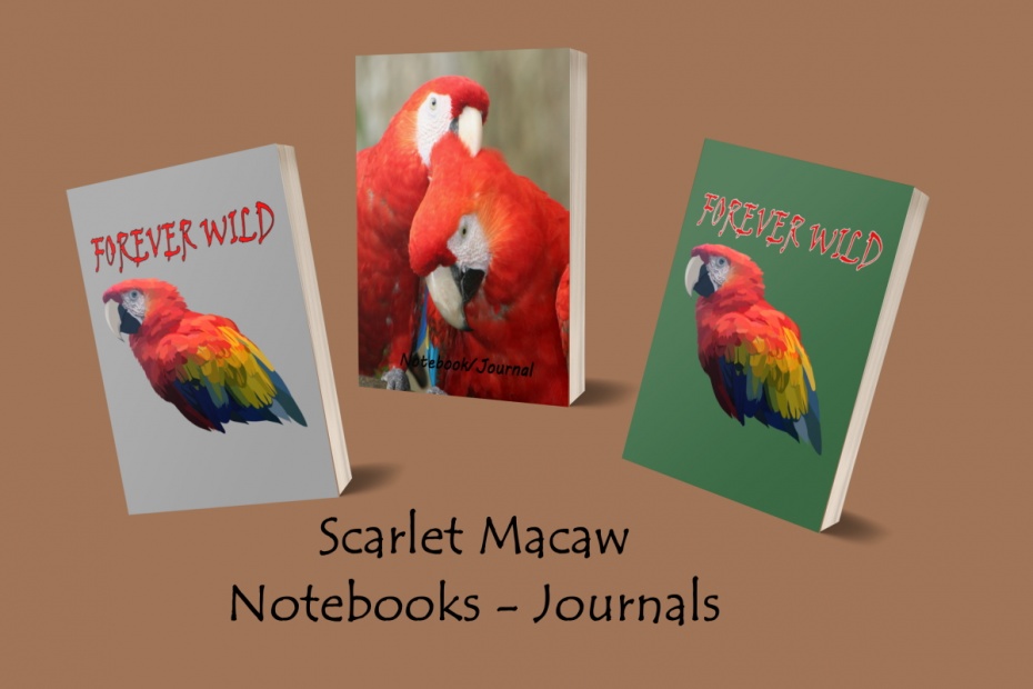 Scarlet Macaw Notebooks Journals
