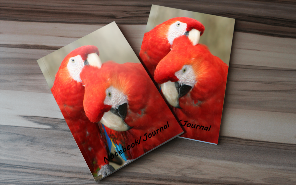 Scarlet Macaw Notebook - Scarlet Macaws Journal