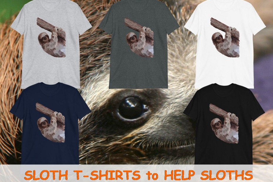 Sloth T-Shirts